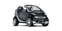 Antena samochodowa Smart Cabrio (450)