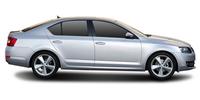 Repair kits for power steering (WTP) Skoda (Shanghai Volkswagen) Octavia (5E3)