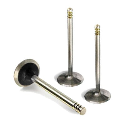 Exhaust valve Volkswagen Bora