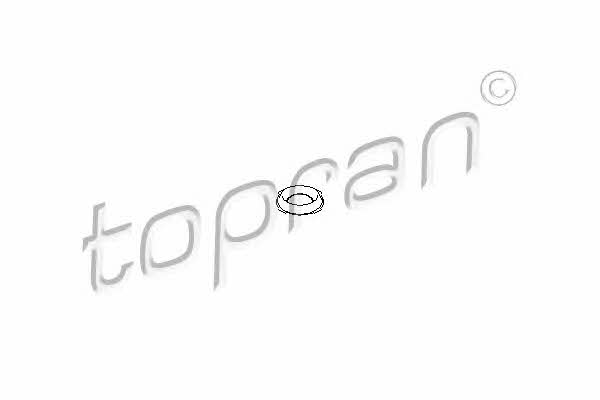 Topran 206 012 Fuel injector washer 206012: Buy near me in Poland at 2407.PL - Good price!
