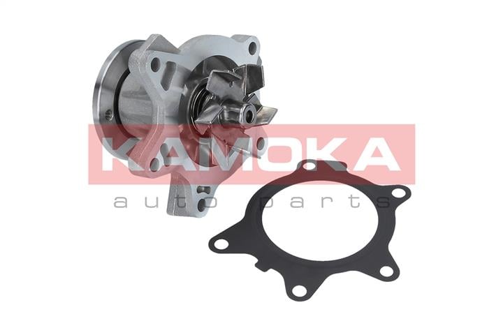T0204 Kamoka Water pump