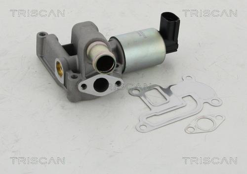 EGR valve Opel Astra H: 881324003 Triscan EGR Valve
