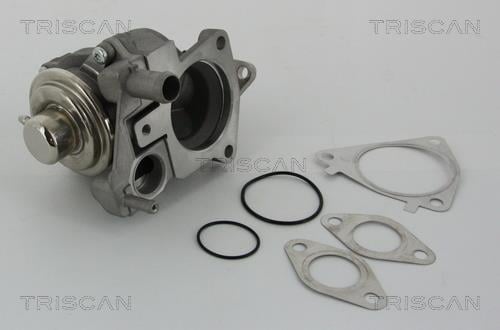 881328019 Triscan AGR-Ventil