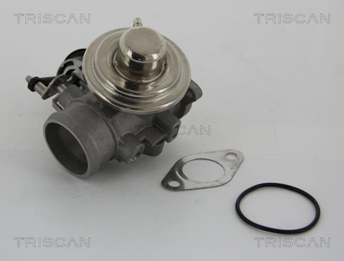 EGR valve Skoda Fabia: 881329001 Triscan EGR Valve