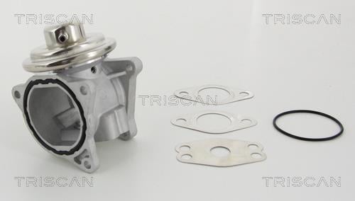 881329111 Triscan AGR-Ventil