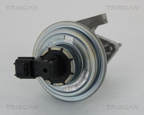 881316045 Triscan AGR-Ventil