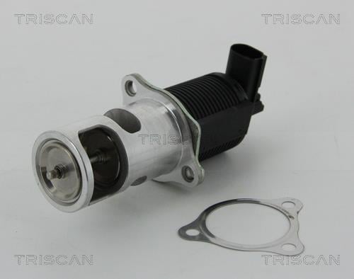 881325038 Triscan AGR-Ventil