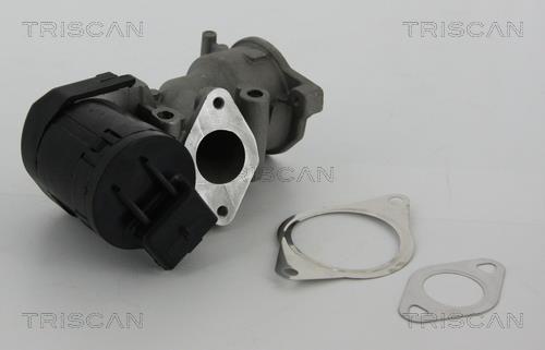 881310001 Triscan AGR-Ventil