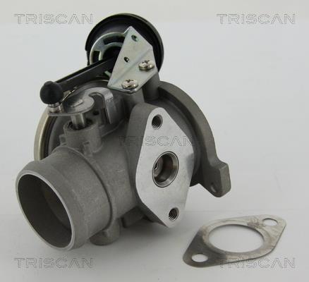 Abgasrückführung Audi A2: 881329022 Triscan AGR-Ventil