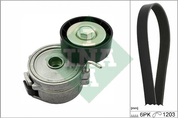 Lichtmaschine Riemen Set Peugeot 407: 529035710 INA Keilrippenriemensatz