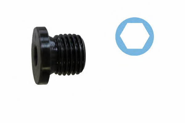 Corteco 220150S Sump plug 220150S: Buy near me at 2407.PL in Poland at an Affordable price!