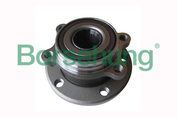 Borsehung B15625 Wheel hub with front bearing B15625: Buy near me in Poland at 2407.PL - Good price!