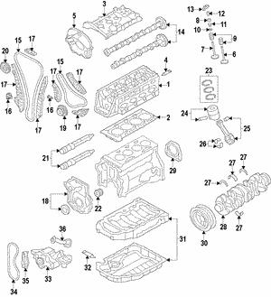 VAG 06L 109 675 C Ventilschaftdichtung 06L109675C: Bestellen Sie in Polen zu einem guten Preis bei 2407.PL!