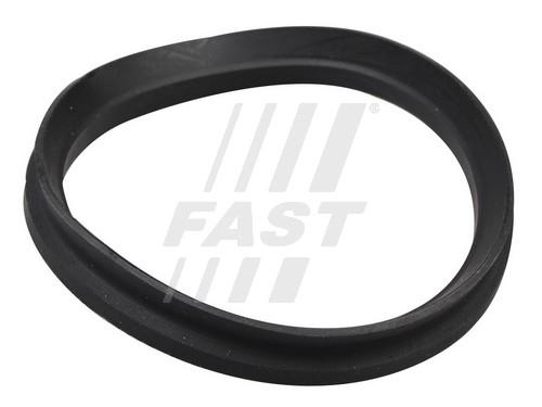 Fast FT12192 Ring sealing FT12192: Buy near me in Poland at 2407.PL - Good price!