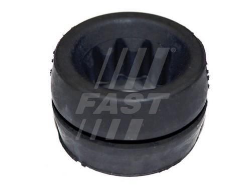 Fast FT13053 Holder, air filter housing FT13053: Buy near me in Poland at 2407.PL - Good price!