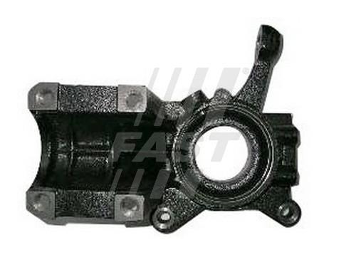 Fast FT13516 Steering Knuckle, wheel suspension FT13516: Buy near me in Poland at 2407.PL - Good price!