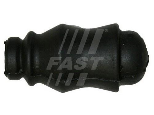 Fast FT18229 Front stabilizer bush FT18229: Buy near me in Poland at 2407.PL - Good price!