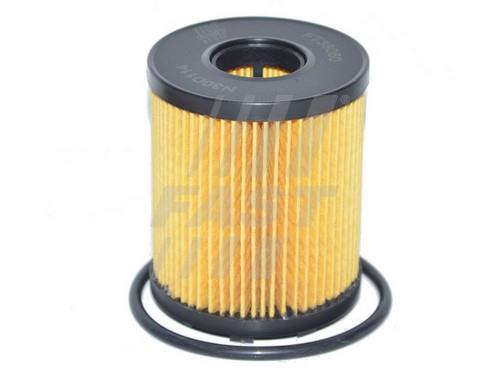 Fast FT38060 Oil Filter FT38060: Buy near me in Poland at 2407.PL - Good price!