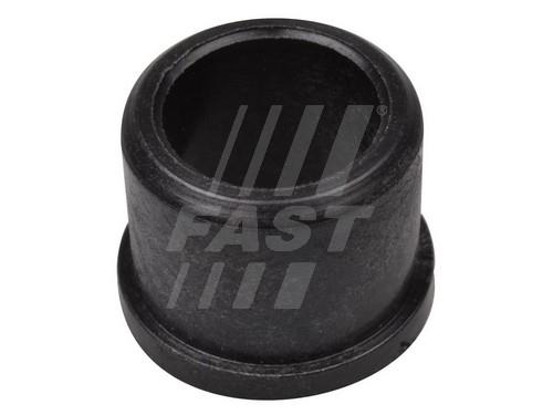 Fast FT46634 Clutch fork repair kit FT46634: Buy near me at 2407.PL in Poland at an Affordable price!