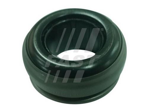 Fast FT67025 Release bearing FT67025: Buy near me in Poland at 2407.PL - Good price!