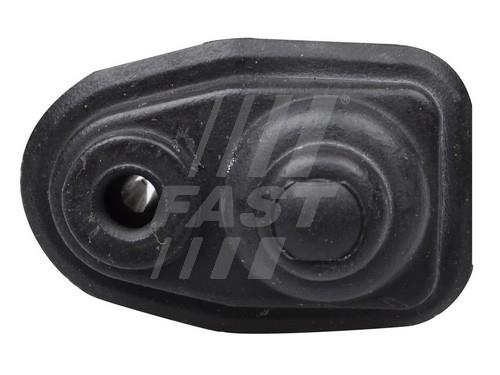 Fast FT81087 Door end FT81087: Buy near me at 2407.PL in Poland at an Affordable price!