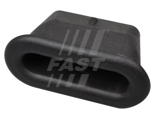 Fast FT95405 Door limiter FT95405: Buy near me at 2407.PL in Poland at an Affordable price!