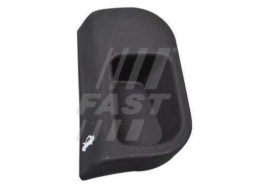 Fast FT95406 Handle, bonnet release FT95406: Buy near me in Poland at 2407.PL - Good price!