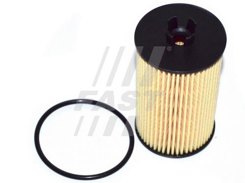 Fast FT38066 Oil Filter FT38066: Buy near me in Poland at 2407.PL - Good price!