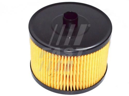 Fast FT39076 Fuel filter FT39076: Buy near me in Poland at 2407.PL - Good price!