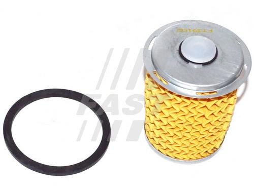 Fast FT39102 Fuel filter FT39102: Buy near me in Poland at 2407.PL - Good price!