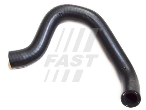 Fast FT61310 Oil Hose FT61310: Buy near me in Poland at 2407.PL - Good price!