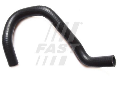 Fast FT61311 Breather Hose for crankcase FT61311: Buy near me in Poland at 2407.PL - Good price!