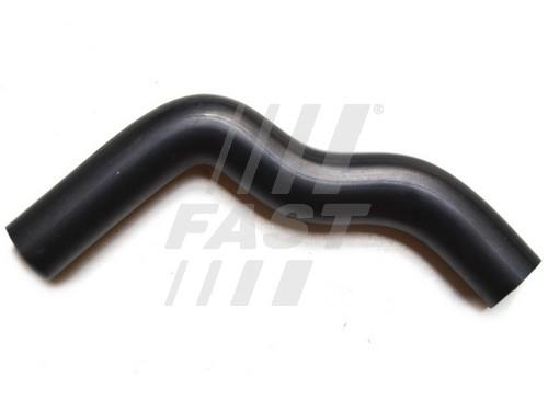 Fast FT61313 Oil Hose FT61313: Buy near me in Poland at 2407.PL - Good price!