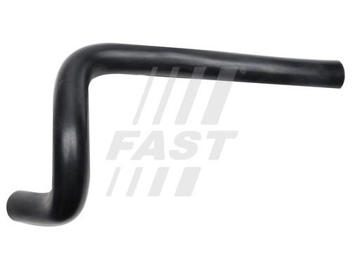 Fast FT61799 Breather Hose for crankcase FT61799: Buy near me in Poland at 2407.PL - Good price!