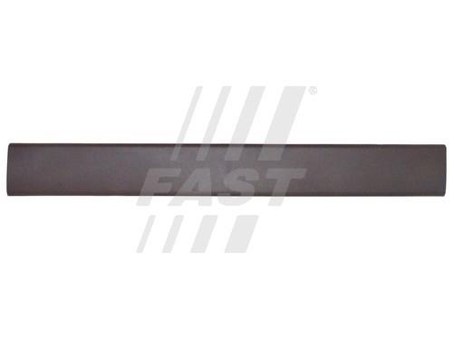 Fast FT90789 Door trim FT90789: Buy near me in Poland at 2407.PL - Good price!