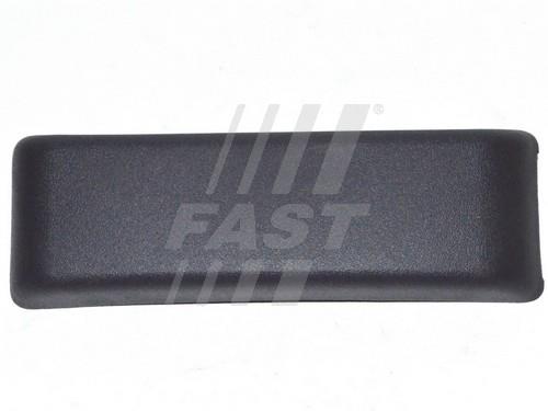 Fast FT90799 Door trim FT90799: Buy near me in Poland at 2407.PL - Good price!