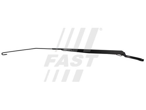 Fast FT93313 Wiper arm FT93313: Buy near me in Poland at 2407.PL - Good price!