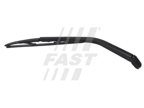 Fast FT93317 Wiper arm FT93317: Buy near me in Poland at 2407.PL - Good price!