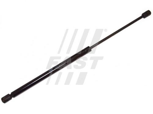 Fast FT94009 Gas Spring, boot-/cargo area FT94009: Buy near me in Poland at 2407.PL - Good price!