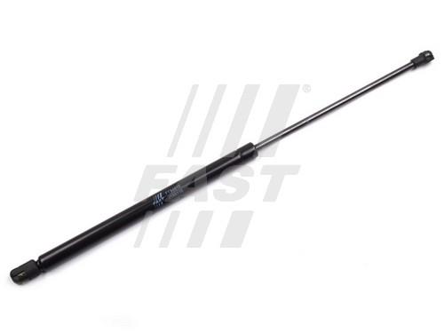 Fast FT94015 Gas Spring, boot-/cargo area FT94015: Buy near me in Poland at 2407.PL - Good price!