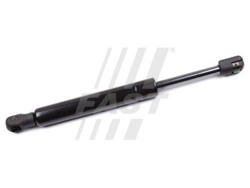 Fast FT94046 Gas Spring, boot-/cargo area FT94046: Buy near me in Poland at 2407.PL - Good price!