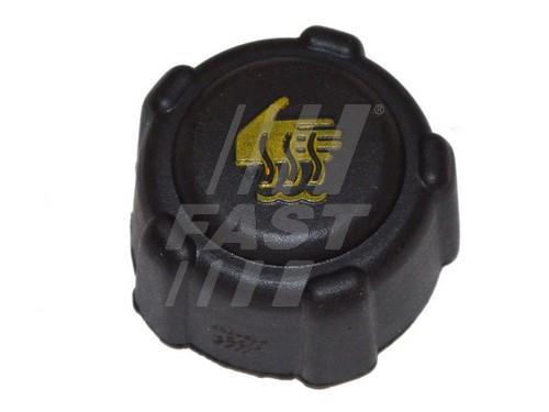 Fast FT94707 Radiator caps FT94707: Buy near me in Poland at 2407.PL - Good price!