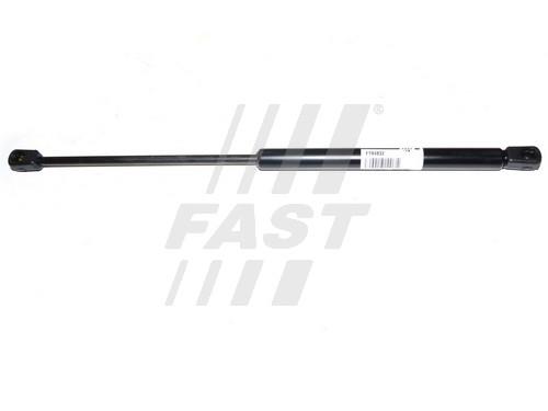 Fast FT94832 Gas Spring, boot-/cargo area FT94832: Buy near me in Poland at 2407.PL - Good price!