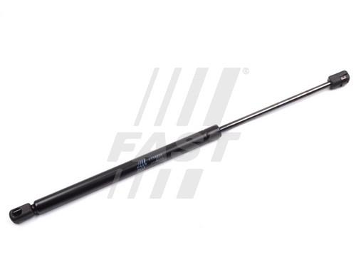 Fast FT94834 Gas Spring, boot-/cargo area FT94834: Buy near me in Poland at 2407.PL - Good price!