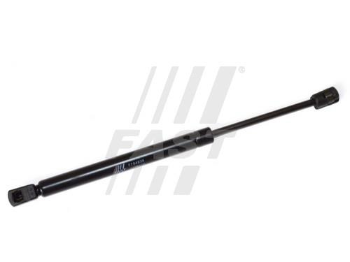 Fast FT94838 Gas hood spring FT94838: Buy near me in Poland at 2407.PL - Good price!