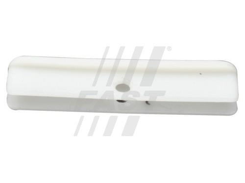 Fast FT95453 Door glass guide FT95453: Buy near me in Poland at 2407.PL - Good price!