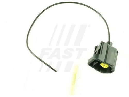 Fast FT76116 Plug, distributor FT76116: Buy near me in Poland at 2407.PL - Good price!