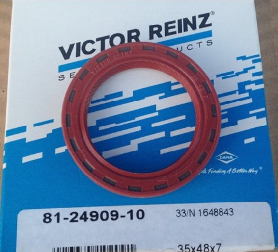 Victor Reinz 81-24909-10 Camshaft oil seal 812490910: Buy near me in Poland at 2407.PL - Good price!