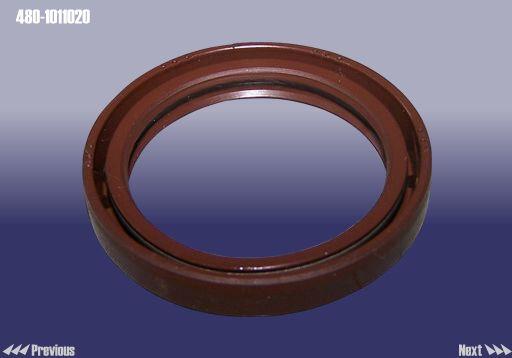 Chery 480-1011020 Oil seal crankshaft front 4801011020: Buy near me at 2407.PL in Poland at an Affordable price!