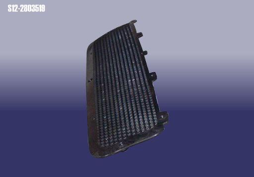 Chery S12-2803519 Grille bumper S122803519: Buy near me in Poland at 2407.PL - Good price!
